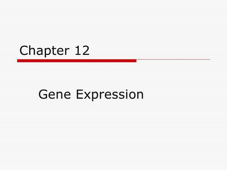 Chapter 12 Gene Expression. From DNA to Protein  Things to remember:  Proteins can be structural (muscles) or functional (enzymes).  Proteins are polymers.