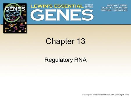 Chapter 13 Regulatory RNA. 13.1 Introduction  RNA functions as a regulator by forming a region of secondary structure (either inter- or intramolecular)