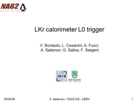 29/05/09A. Salamon – TDAQ WG - CERN1 LKr calorimeter L0 trigger V. Bonaiuto, L. Cesaroni, A. Fucci, A. Salamon, G. Salina, F. Sargeni.