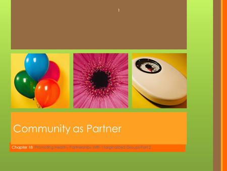 Chapter 18 Promoting Healthy Partnerships With Marginalized Groups Part 2 Community as Partner 1.