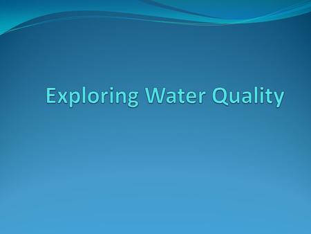 Water Quality What does this mean? Think about these questions as you watch the video. We will answer them at the end. Who depends on healthy water sources?