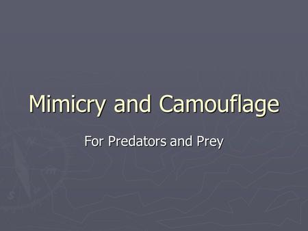 Mimicry and Camouflage For Predators and Prey. Mimicry and Camouflage ► Mimicry is when 2 or more animal species look alike; ► camouflage refers to an.