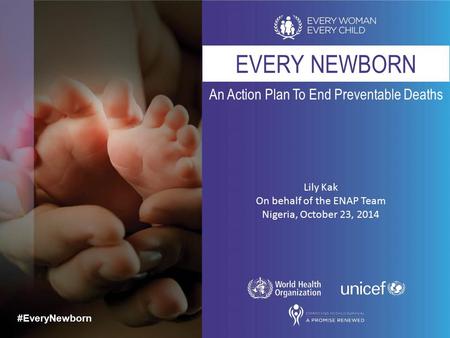An Action Plan To End Preventable Deaths #EveryNewborn EVERY NEWBORN Lily Kak On behalf of the ENAP Team Nigeria, October 23, 2014.