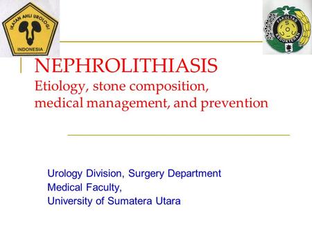 Urology Division, Surgery Department Medical Faculty,