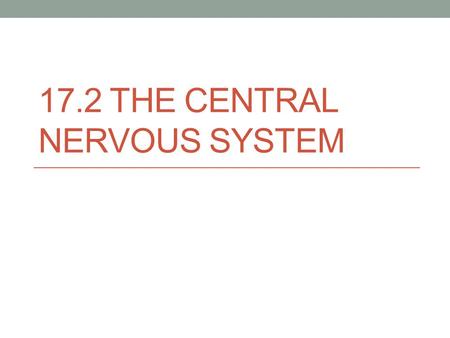 17.2 THE CENTRAL NERVOUS SYSTEM. The Central Nervous System (CNS) 2 parts to CNS: 1. The spinal cord 2. The brain Communicates with Peripheral Nervous.