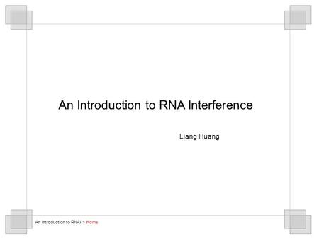 An Introduction to RNA Interference