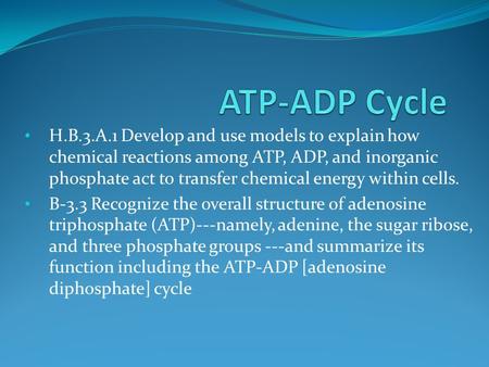 H.B.3.A.1 Develop and use models to explain how chemical reactions among ATP, ADP, and inorganic phosphate act to transfer chemical energy within cells.