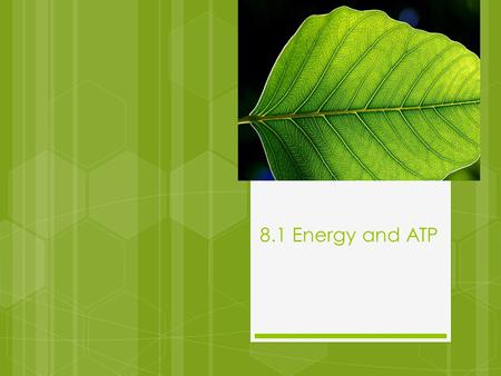 8.1 Energy and ATP. Autotrophs and Heterotrophs  Energy that living things need, originates from the sun  Autotrophs- trap energy from the sun to make.
