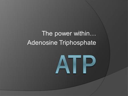 The power within… Adenosine Triphosphate. Why?  Most imp. biochem. mol. for ENERGY SUPPLY  Main energy currency for organisms  Large no. of processes.
