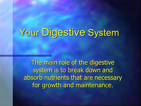 Your Digestive System The main role of the digestive system is to break down and absorb nutrients that are necessary for growth and maintenance.