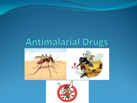 Antimalarial Drugs.