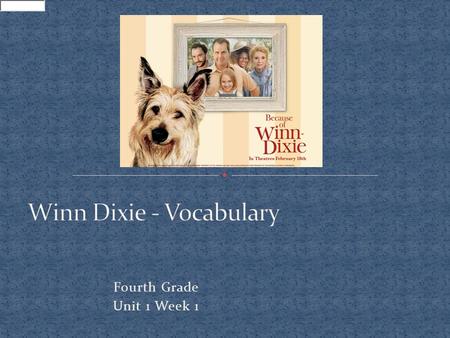 Winn Dixie - Vocabulary