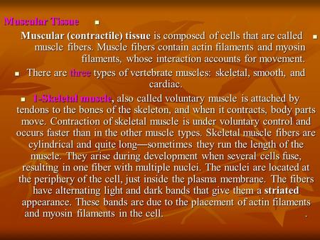 Muscular Tissue Muscular Tissue Muscular (contractile) tissue is composed of cells that are called muscle fibers. Muscle fibers contain actin filaments.
