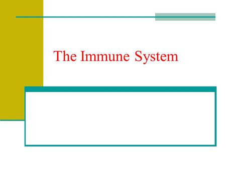 The Immune System. Protects our bodies from pathogens – disease causing agents May be bacteria, viruses, protists, fungi, etc Response could be nonspecific.