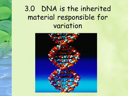 3.0 DNA is the inherited material responsible for variation.