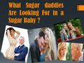 What Sugar daddies Are Looking For in a Sugar Baby ?