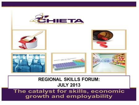 REGIONAL SKILLS FORUM: JULY 2013. Identify strategic skills development issues within the region Obtain input from stakeholders within the region (particularly.