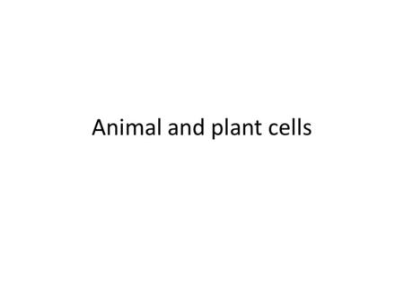 Animal and plant cells.