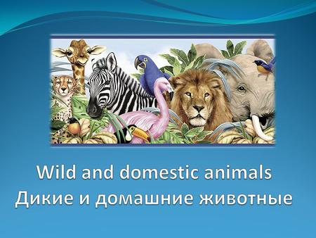 Wild and domestic animals 1. sheep /шиип/ - овечка 2. cow /кау/ - корова 3. duck /дак/ - утка 4. snake /снейк/ - змея 5. bird /бёрд/ - птичка 6. bee /бии/