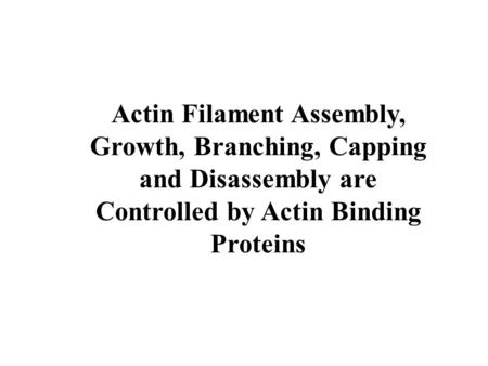Controlled by Actin Binding Proteins