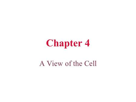 Chapter 4 A View of the Cell. Cell History The microscope was invented in the 17th century Using a microscope, Robert Hooke discovered cells in 1665 All.