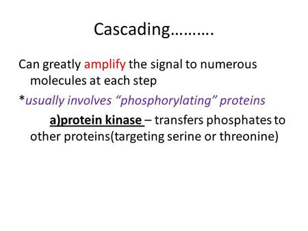 Cascading………. Can greatly amplify the signal to numerous molecules at each step *usually involves “phosphorylating” proteins a)protein kinase – transfers.