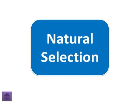 Natural Selection. A. Species overproduce offspring that may survive an environment. B. There is little variation among members of a population. C. Competition.
