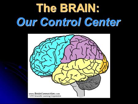 The BRAIN: Our Control Center. Optic nerve Optic tract Lateral geniculate nucleus Optic radiation Optic chiasm Primary visual cortex.