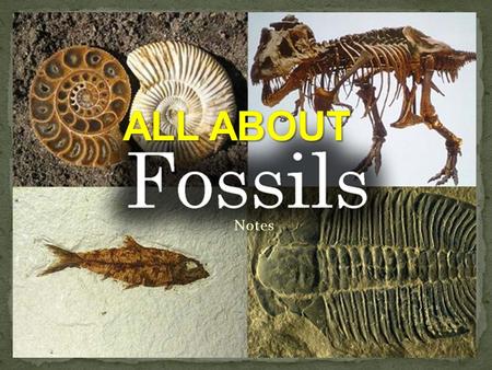 Notes. Fossils are perserved remains or traces of living things. Fossils normally form in sedimentary rock. Hard parts are the only parts of an organism.