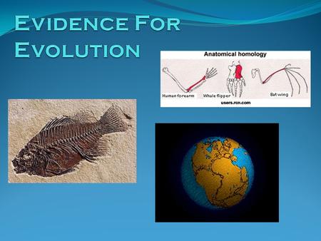 Evidence For Evolution