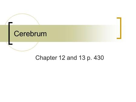 Cerebrum Chapter 12 and 13 p. 430. Cerebrum – surrounded by a thin layer of gray matter called cerebral cortex (rind or bark)  Consists of six layers.