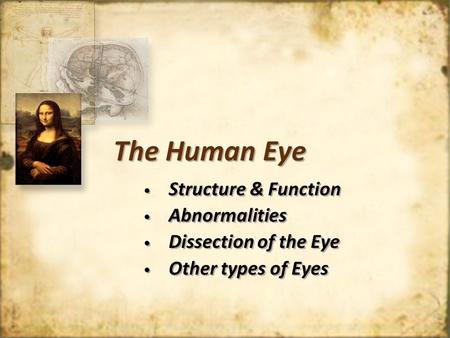 The Human Eye Structure & Function Abnormalities Dissection of the Eye