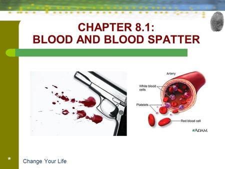 CHAPTER 8.1: BLOOD AND BLOOD SPATTER * Change Your Life.