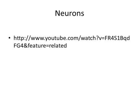 Neurons  FG4&feature=related.
