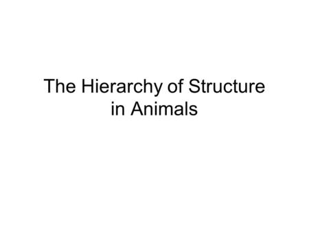 The Hierarchy of Structure in Animals