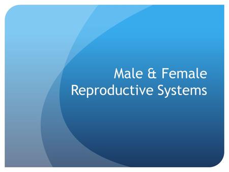 Male & Female Reproductive Systems