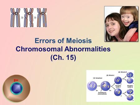 2006-2007 Errors of Meiosis Chromosomal Abnormalities (Ch. 15)