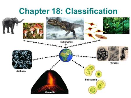 Chapter 18: Classification. Section 18-1: Finding Order in Diversity.