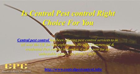 Is Central Pest control Right Choice For You Central pest control Central pest control has been offering pest control services to in all over the UK for.