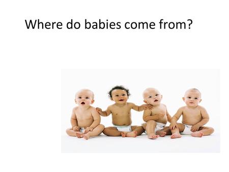 Where do babies come from?. What is Conception? When Sperm and Egg meet and fertilization occur.