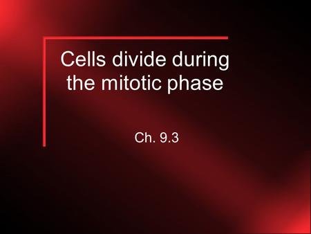 Cells divide during the mitotic phase Ch. 9.3. INTERPHASE Starts during the G 2 phase in the cell cycle Chromatin loosely packed Nucleolus visible Nuclear.