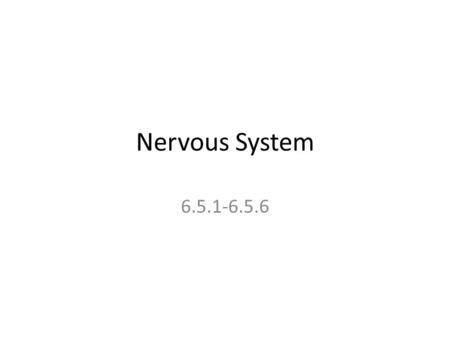 Nervous System 6.5.1-6.5.6.