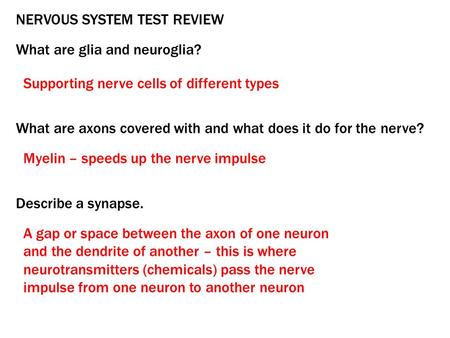 NERVOUS SYSTEM TEST REVIEW What are glia and neuroglia? What are axons covered with and what does it do for the nerve? Describe a synapse. Supporting nerve.