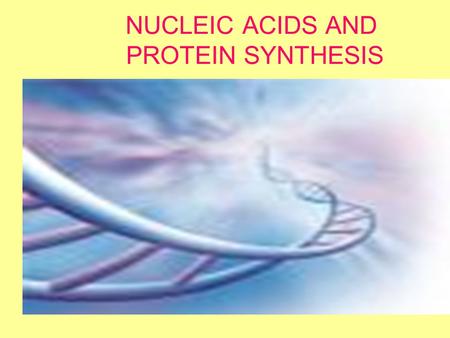 NUCLEIC ACIDS AND PROTEIN SYNTHESIS. DNA complex molecule contains the complete blueprint for every cell in every living thing Amount of DNA that would.