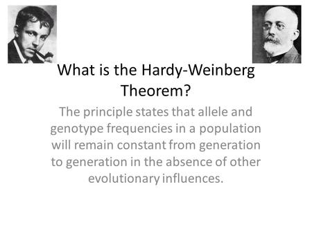 What is the Hardy-Weinberg Theorem? The principle states that allele and genotype frequencies in a population will remain constant from generation to generation.