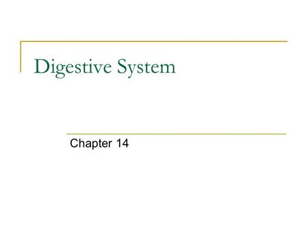 Digestive System Chapter 14.  e/health-and-human-body/human- body/digestive-system-article.html