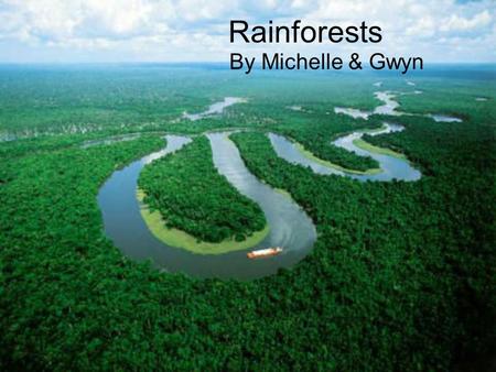 Rainforests By Michelle & Gwyn .What is a Rainforest? Rainforests are home to many plants and animals, such as monkeys, sloths, snakes, jaguars, tree.