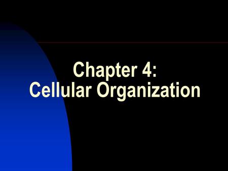Chapter 4: Cellular Organization The cell is the fundamental unit of life. The modern theory of cellular organization states that: 1. All living organisms.