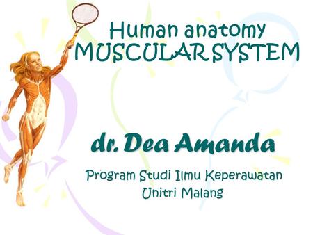Human anatomy MUSCULAR SYSTEM dr. Dea Amanda dr. Dea Amanda Program Studi Ilmu Keperawatan Program Studi Ilmu Keperawatan Unitri Malang.