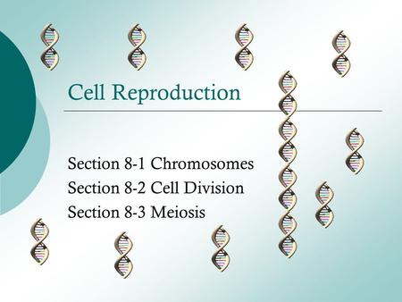 Section 8-1 Chromosomes Section 8-2 Cell Division Section 8-3 Meiosis